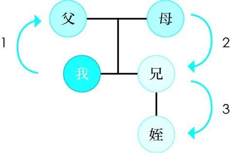 三等親有哪些|一二三四五六親等搞得我頭好亂，血親和姻親到底該怎。